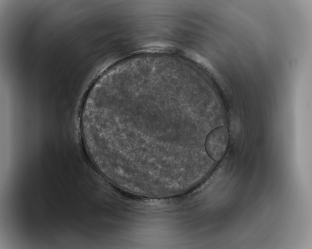 X0000096411362200802211216
