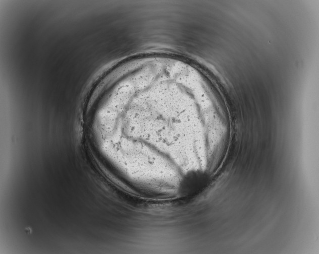 X0000096411363200802211216