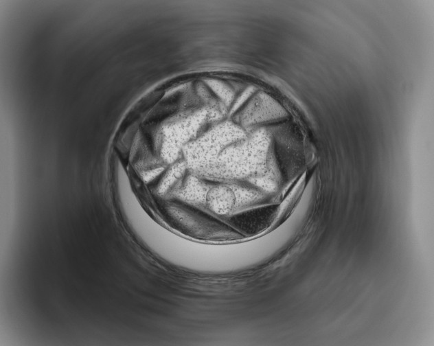 X0000096411364200802211216