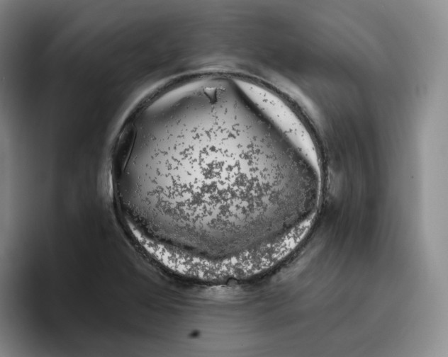 X0000096411368200802211216