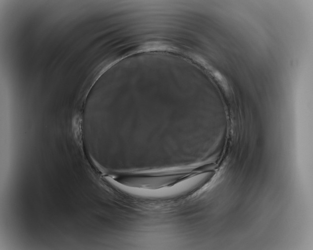 X0000096411369200802211216
