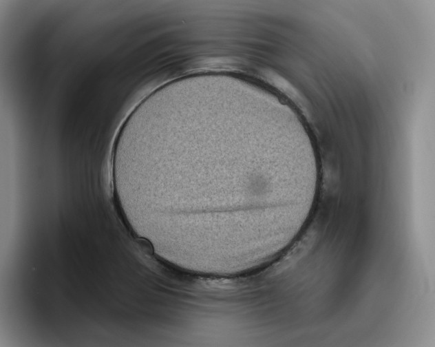 X0000096411370200802211216