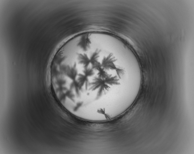 X0000096411371200802211216
