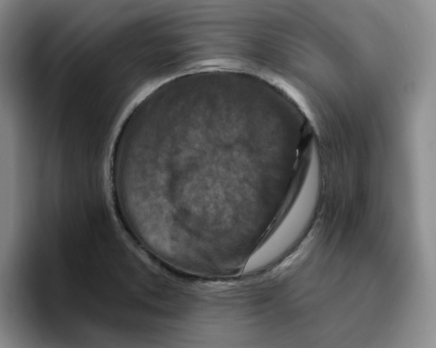 X0000096411373200802211216