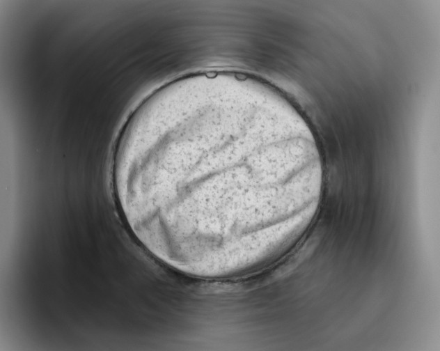 X0000096411374200802211216