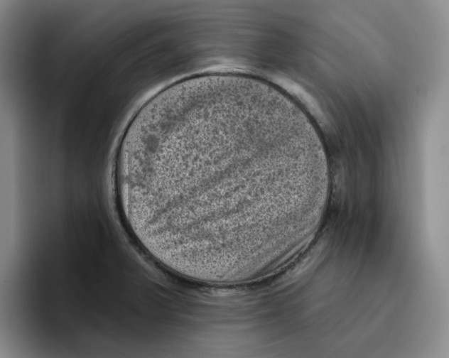 X0000096411375200802211216