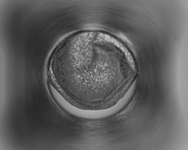 X0000096411376200802211216