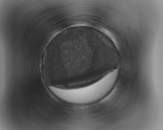 X0000096411377200802211216