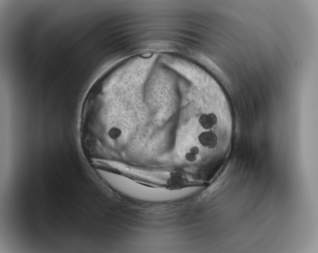 X0000096411378200802211216