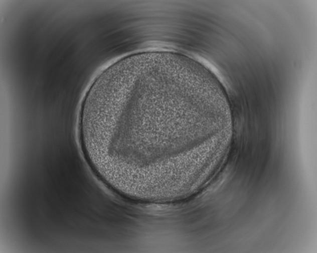 X0000096411379200802211216