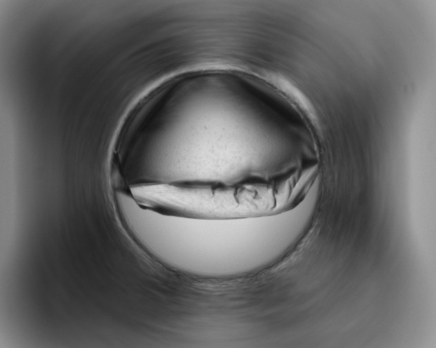 X0000096411380200802211216
