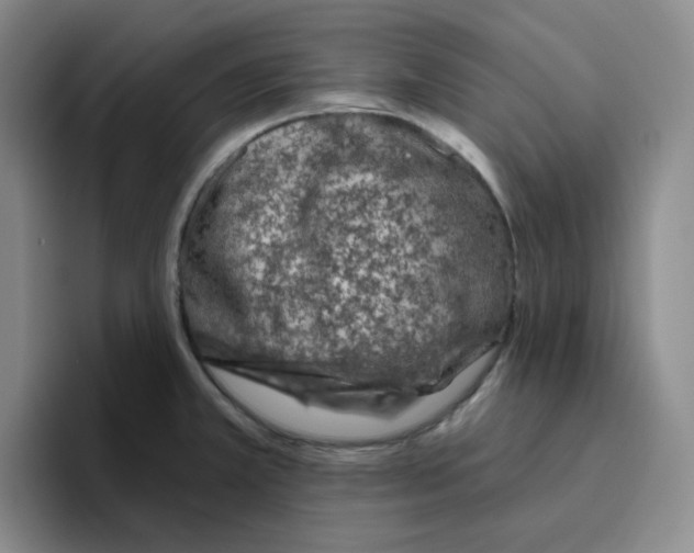 X0000096411381200802211216