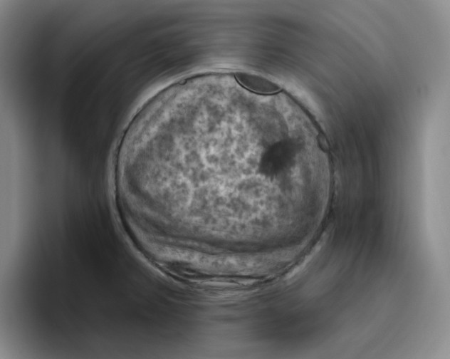 X0000096411382200802211216