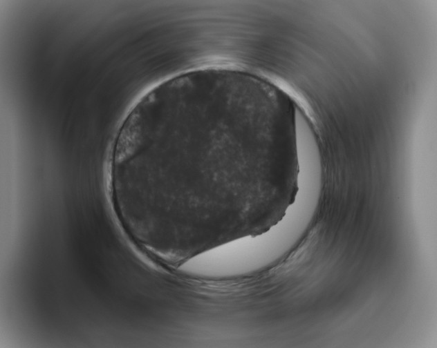 X0000096411383200802211216
