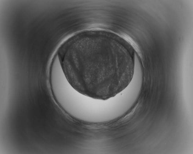 X0000096411384200802211216