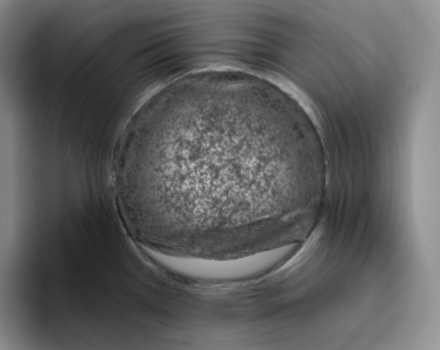 X0000096411385200802211216
