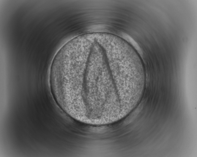 X0000096411386200802211216
