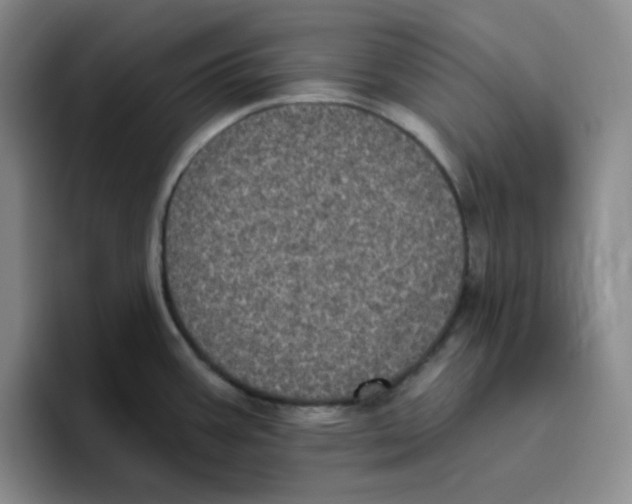 X0000096411387200802211216