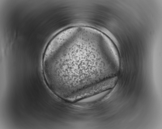 X0000096411388200802211216