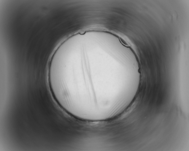 X0000096411390200802211216