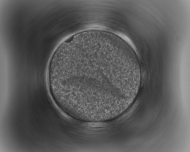 X0000096411391200802211216
