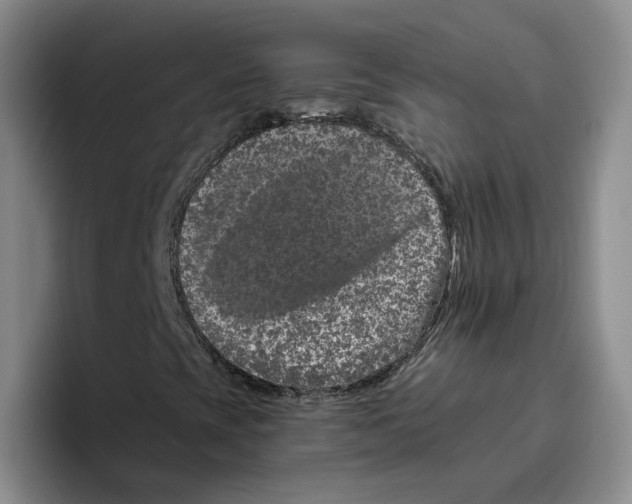 X0000096411393200802211215