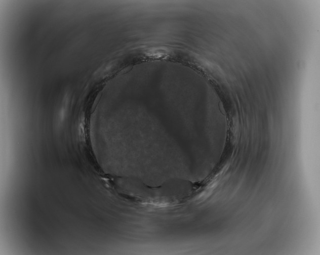 X0000096411394200802211215