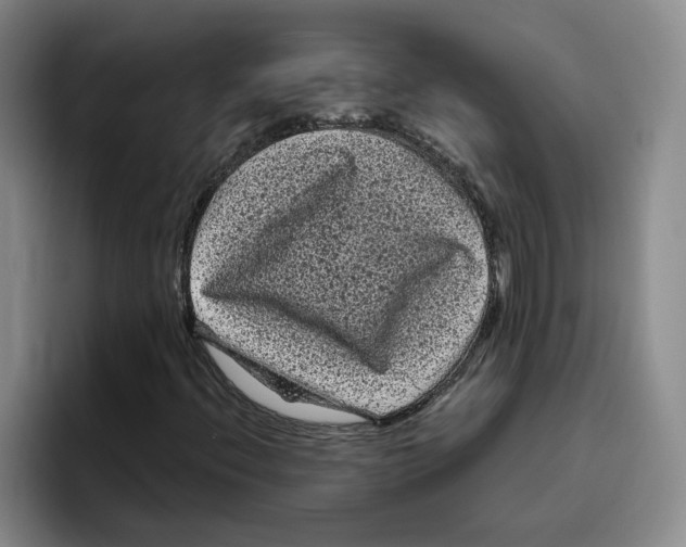 X0000096411396200802211215