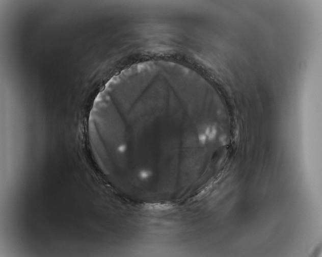 X0000096411397200802211215