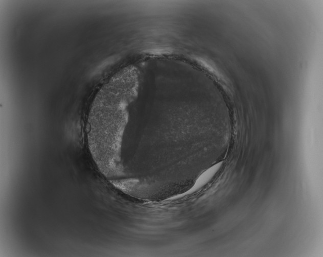 X0000096411398200802211215