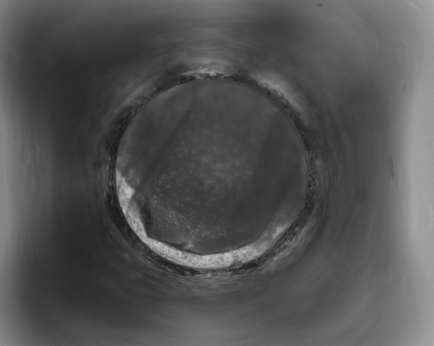 X0000096411399200802211215