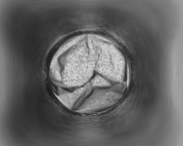 X0000096411400200802211215