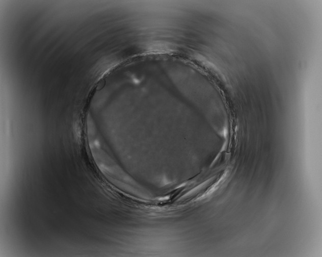 X0000096411401200802211215