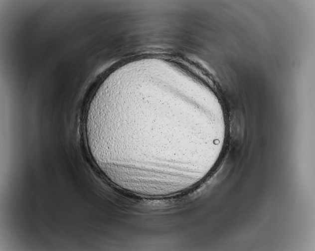 X0000096411402200802211215