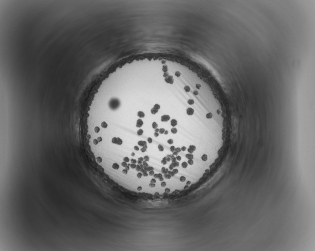 X0000096411403200802211215