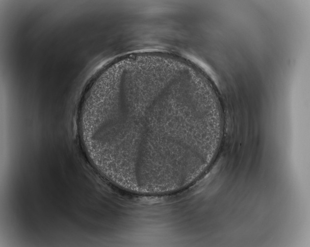 X0000096411407200802211215