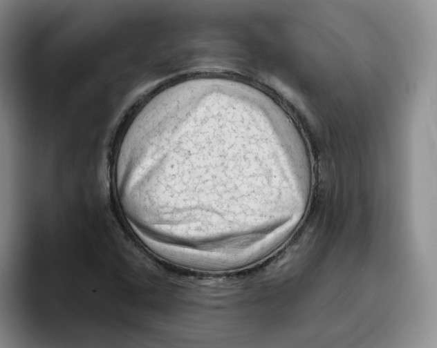 X0000096411408200802211215