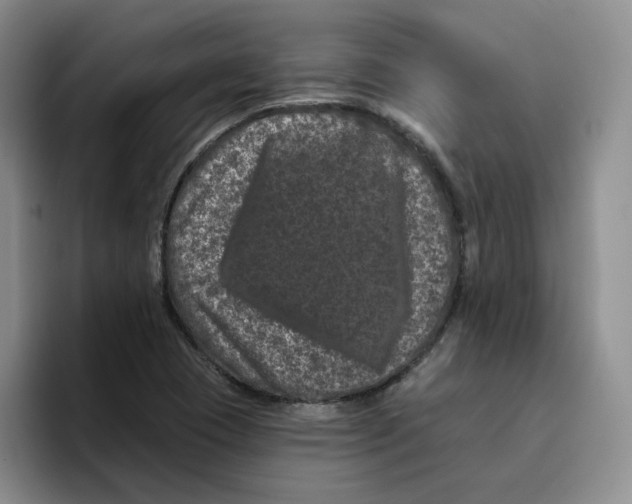 X0000096411409200802211215