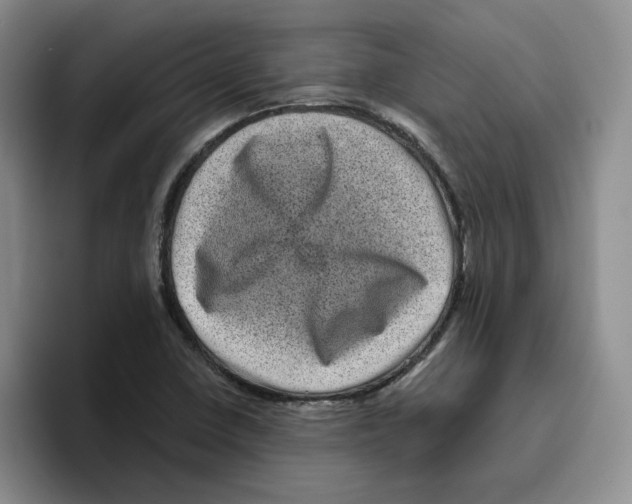 X0000096411410200802211215