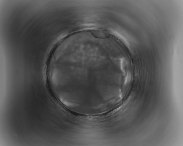 X0000096411411200802211215