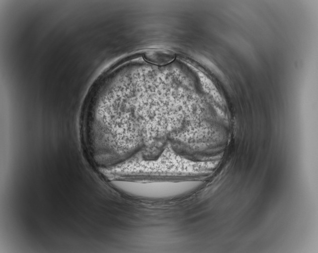 X0000096411412200802211215