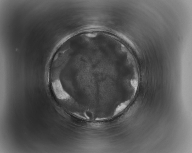 X0000096411413200802211215