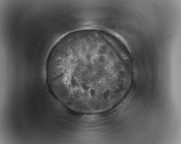 X0000096411415200802211215