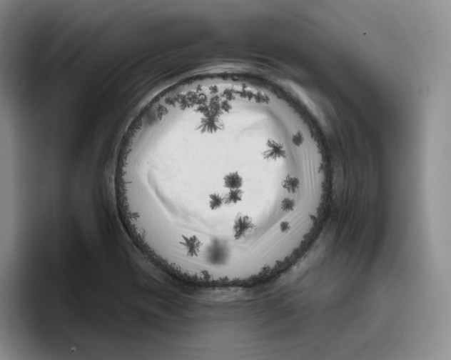 X0000096411417200802211215