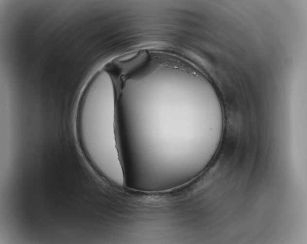 X0000096411418200802211215