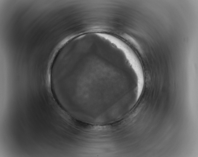 X0000096411419200802211215