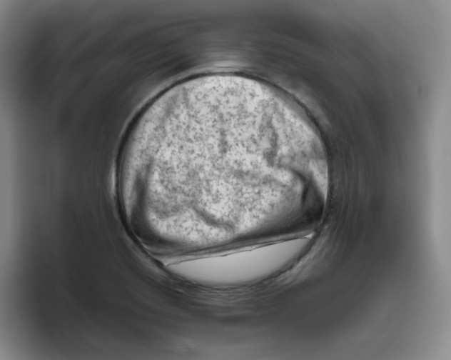 X0000096411420200802211215