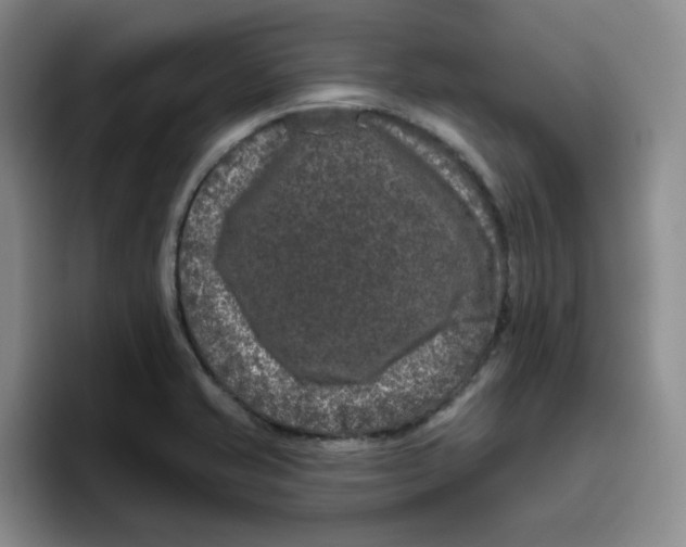X0000096411421200802211215