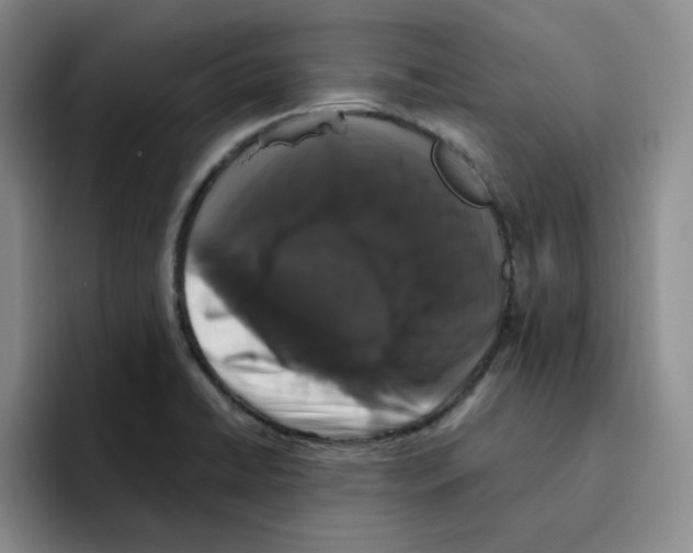 X0000096411422200802211215