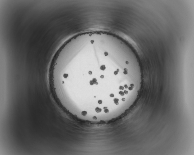 X0000096411423200802211215